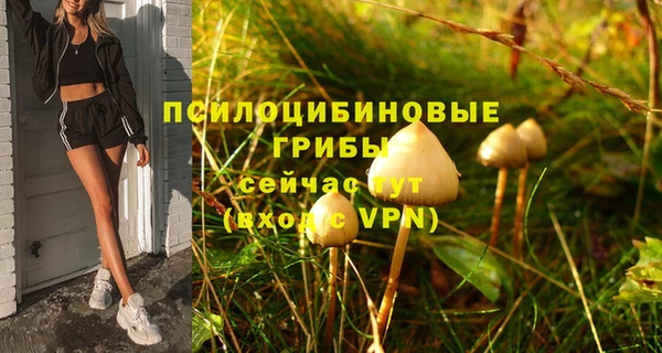 стафф Алексеевка