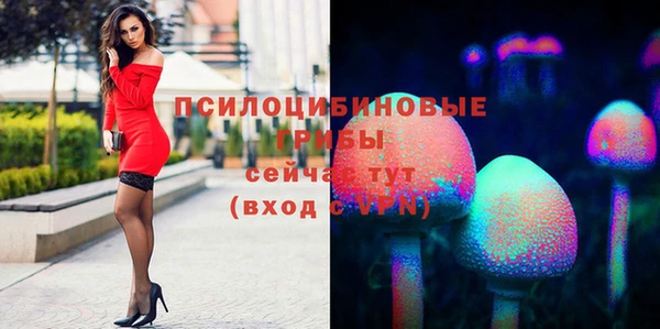 MDMA Алзамай